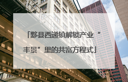 黟县西递镇解锁产业“丰景”里的共富方程式