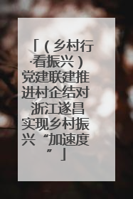 （乡村行·看振兴）党建联建推进村企结对 浙江遂昌实现乡村振兴“加速度”