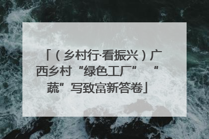 （乡村行·看振兴）广西乡村“绿色工厂” “蔬”写致富新答卷