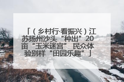 （乡村行·看振兴）江苏扬州沙头“种出”20亩“玉米迷宫” 民众体验别样“田园乐趣”