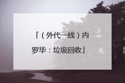 （外代一线）内罗毕：垃圾回收