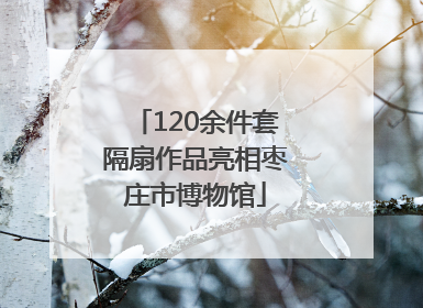 120余件套隔扇作品亮相枣庄市博物馆
