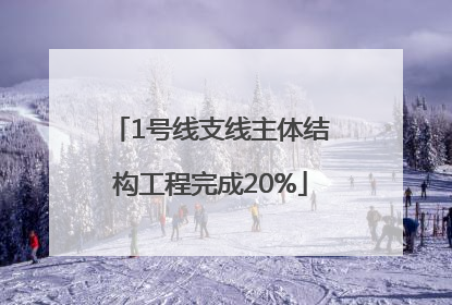 1号线支线主体结构工程完成20%
