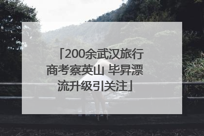 200余武汉旅行商考察英山 毕昇漂流升级引关注