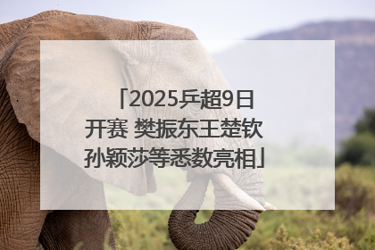 2025乒超9日开赛 樊振东王楚钦孙颖莎等悉数亮相