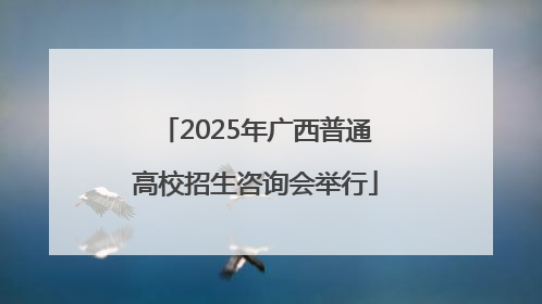 2025年广西普通高校招生咨询会举行