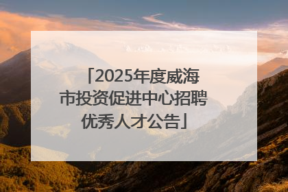 2025年度威海市投资促进中心招聘优秀人才公告