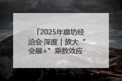 2025年廊坊经洽会·深度｜放大“会展+”乘数效应 打造消费新场景