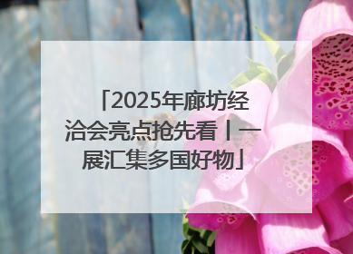 2025年廊坊经洽会亮点抢先看丨一展汇集多国好物