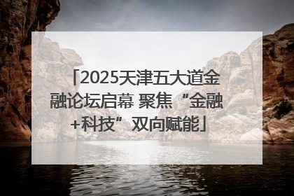 2025天津五大道金融论坛启幕 聚焦“金融+科技”双向赋能