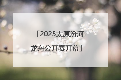 2025太原汾河龙舟公开赛开幕