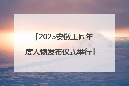 2025安徽工匠年度人物发布仪式举行