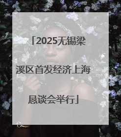 2025无锡梁溪区首发经济上海恳谈会举行