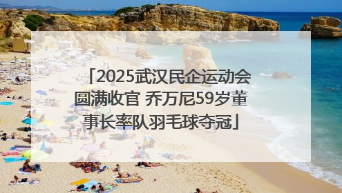 2025武汉民企运动会圆满收官 乔万尼59岁董事长率队羽毛球夺冠