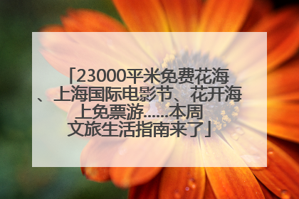 23000平米免费花海、上海国际电影节、花开海上免票游......本周文旅生活指南来了