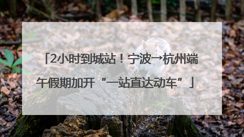 2小时到城站！宁波→杭州端午假期加开“一站直达动车”
