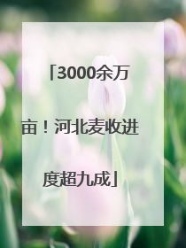 3000余万亩！河北麦收进度超九成