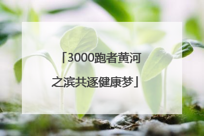 3000跑者黄河之滨共逐健康梦