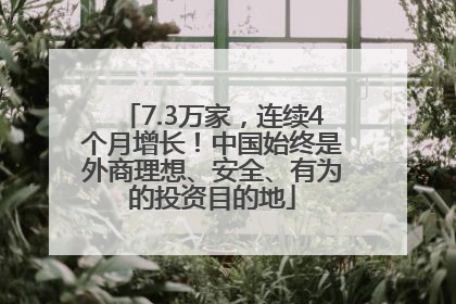 7.3万家，连续4个月增长！中国始终是外商理想、安全、有为的投资目的地