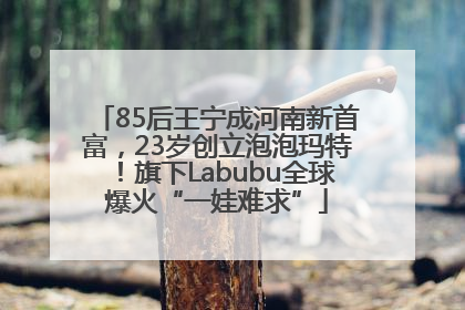 85后王宁成河南新首富，23岁创立泡泡玛特！旗下Labubu全球爆火“一娃难求”