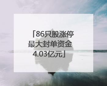 86只股涨停 最大封单资金4.03亿元
