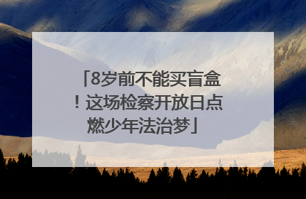 8岁前不能买盲盒！这场检察开放日点燃少年法治梦