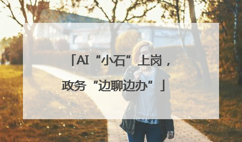 AI“小石”上岗，政务“边聊边办”