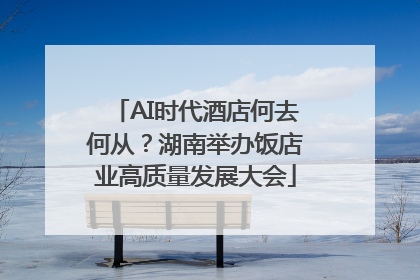 AI时代酒店何去何从？湖南举办饭店业高质量发展大会