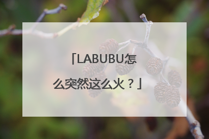 LABUBU怎么突然这么火？