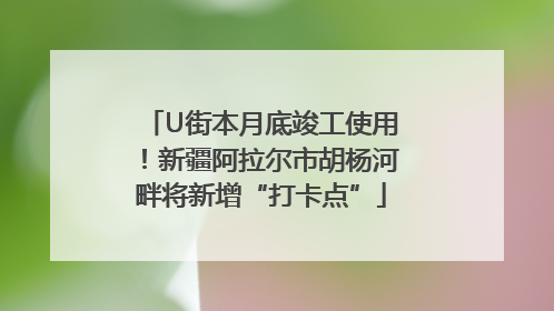 U街本月底竣工使用！新疆阿拉尔市胡杨河畔将新增“打卡点”