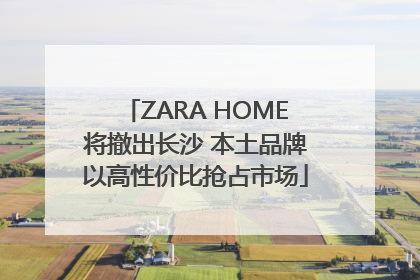 ZARA HOME将撤出长沙 本土品牌以高性价比抢占市场