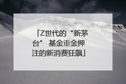 Z世代的“新茅台” 基金重金押注的新消费狂飙